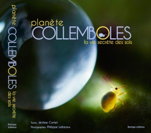 Planète collemboles la vie secrète des sols