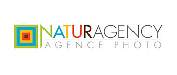 naturagency-logo