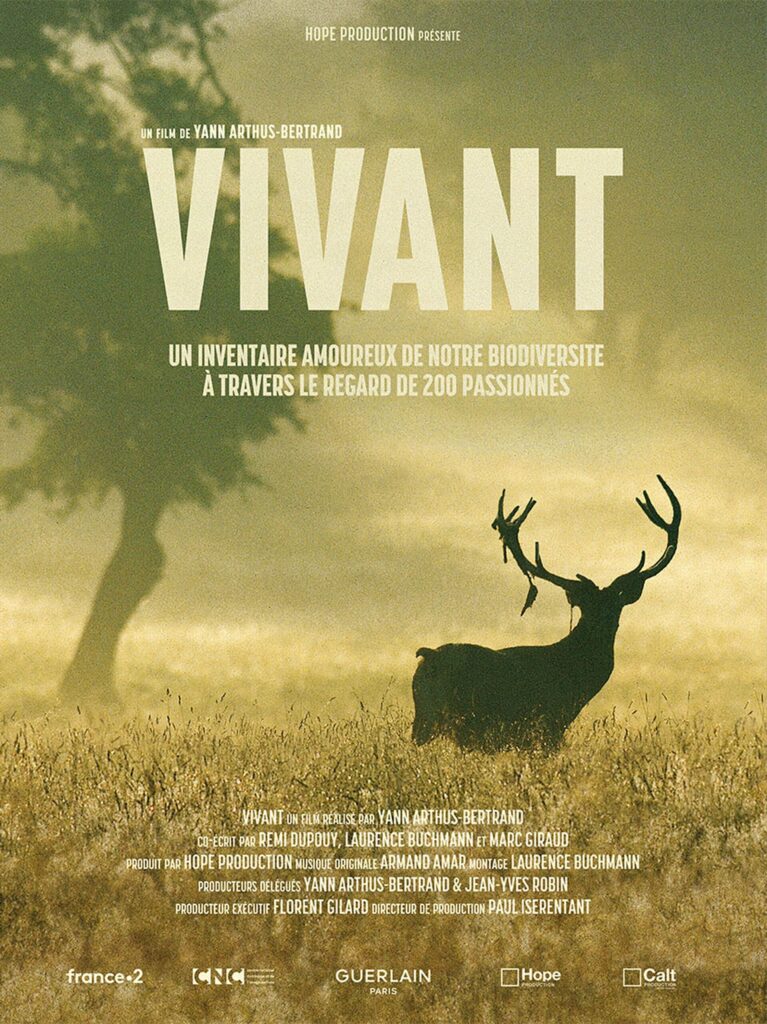 FILM VIVANT YAB